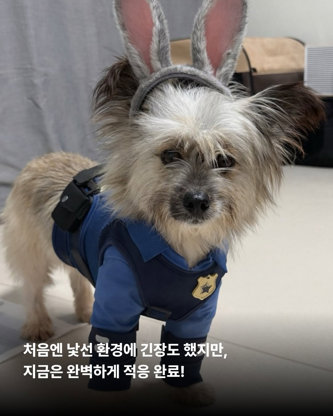 상세 사진 3
