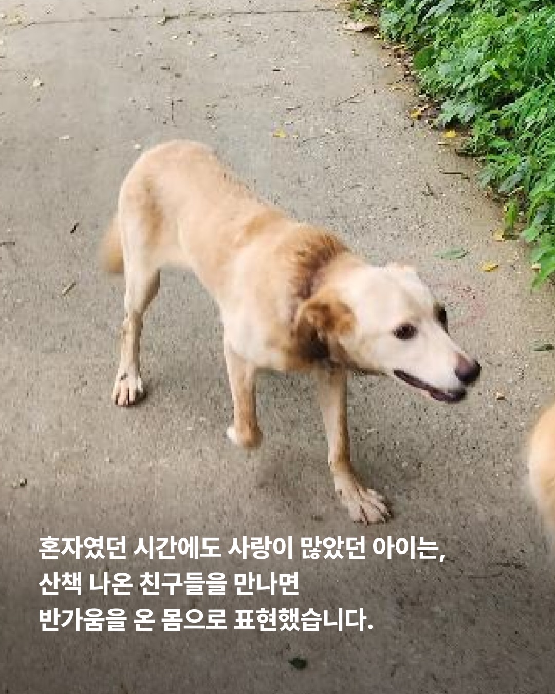 상세 사진 5