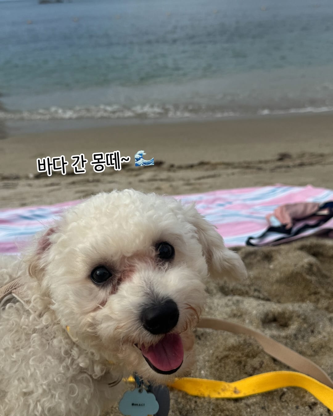상세 사진 8