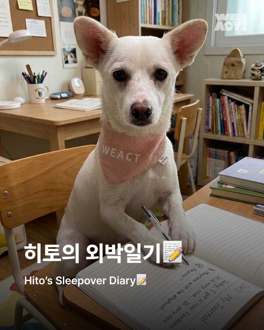 상세 사진 1