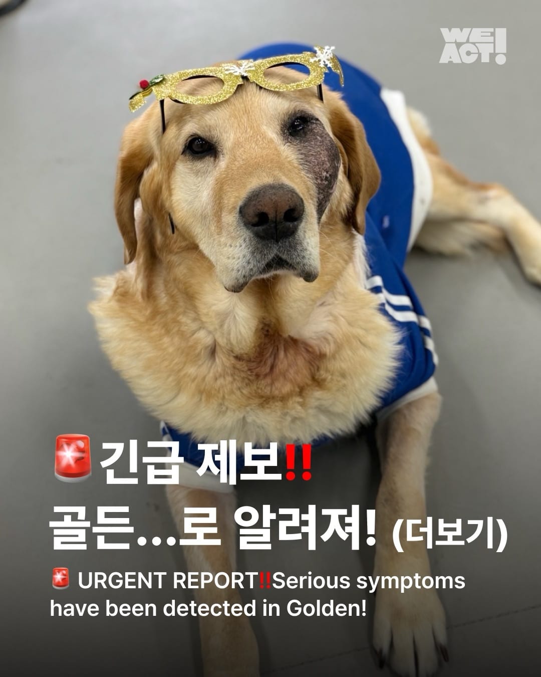 상세 사진 1