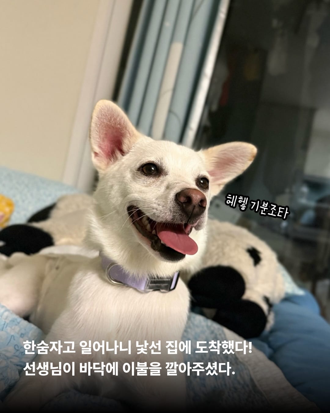 상세 사진 3