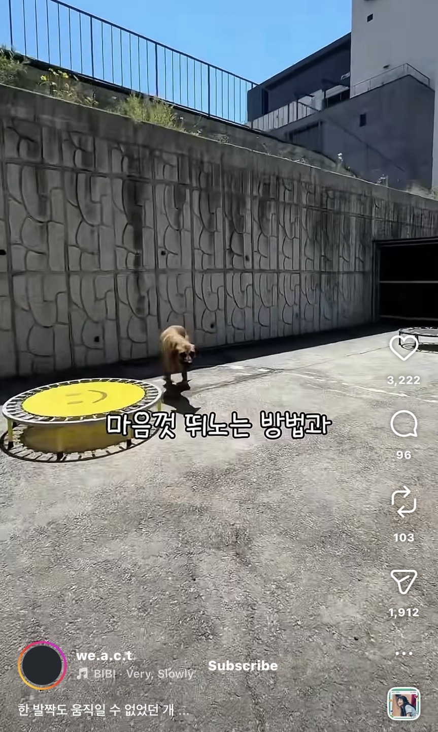 상세 사진 8