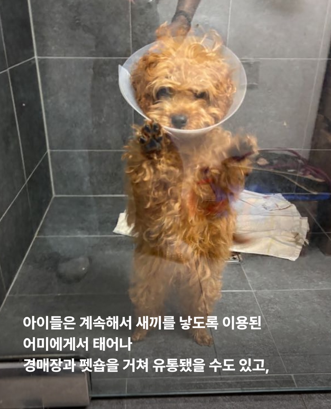상세 사진 12