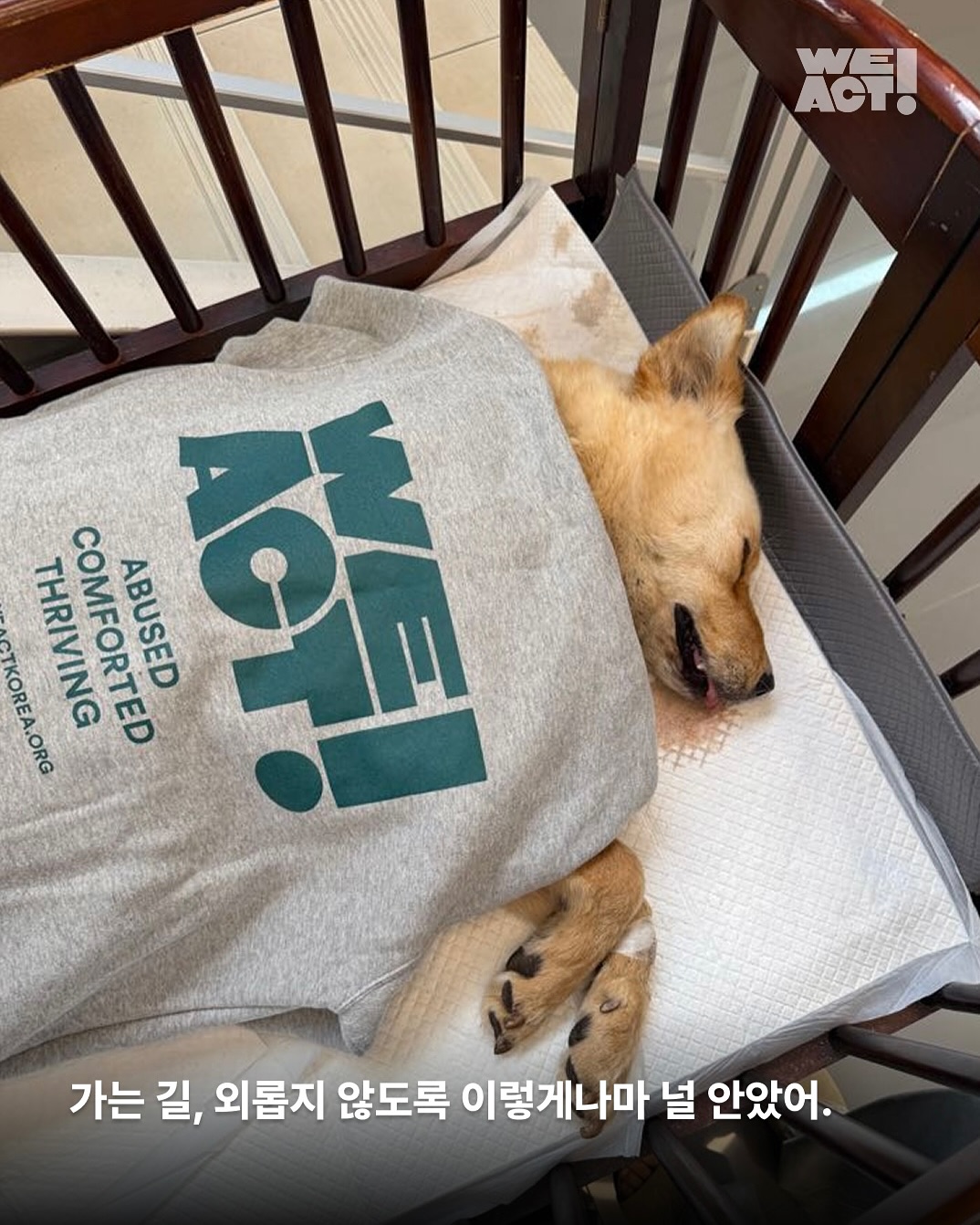 상세 사진 3