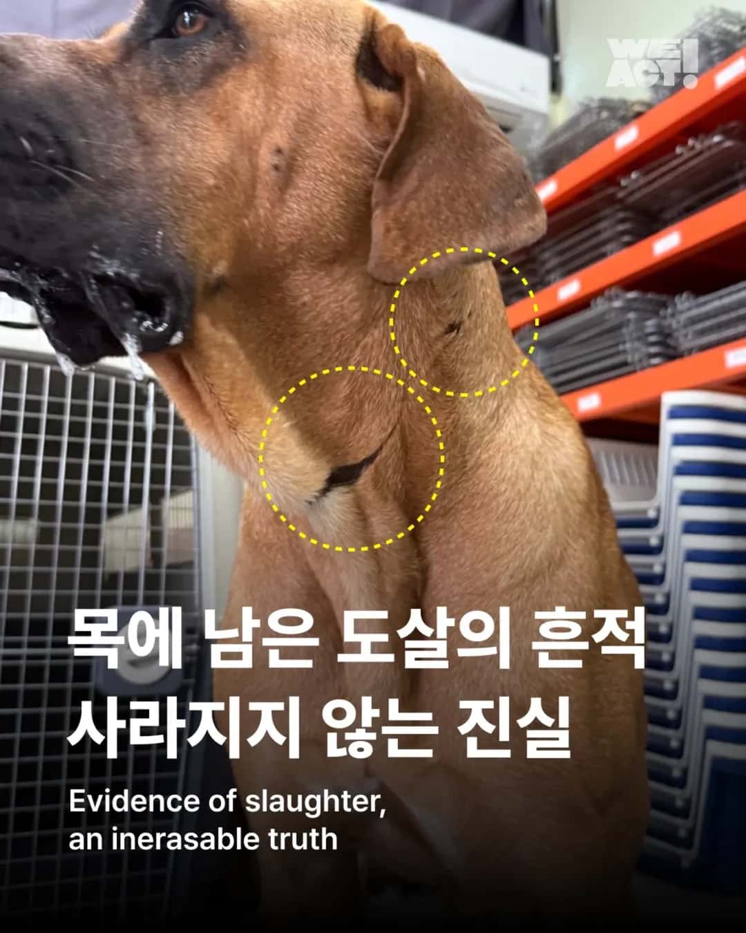 상세 사진 1