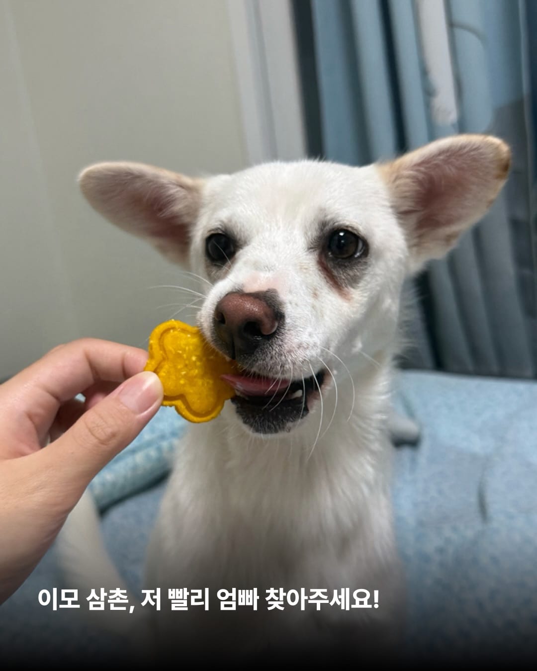 상세 사진 13
