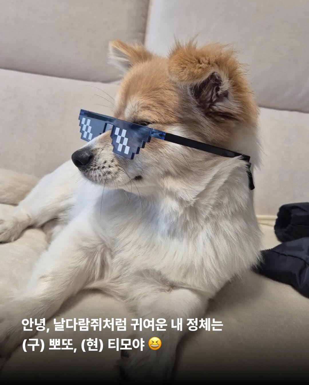 상세 사진 2