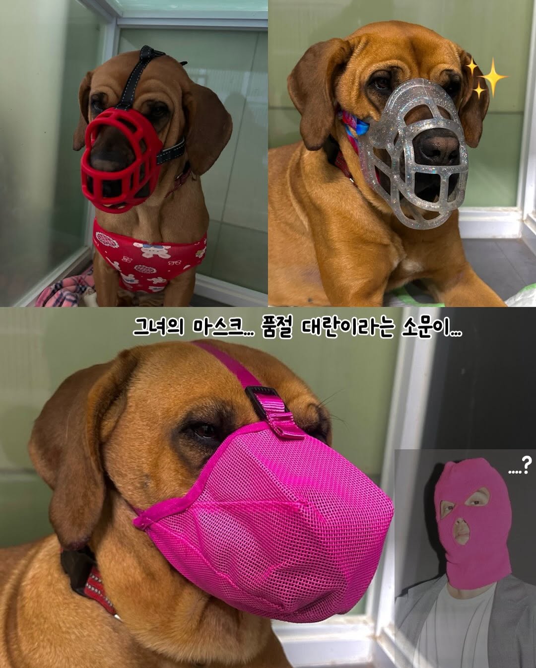 상세 사진 10