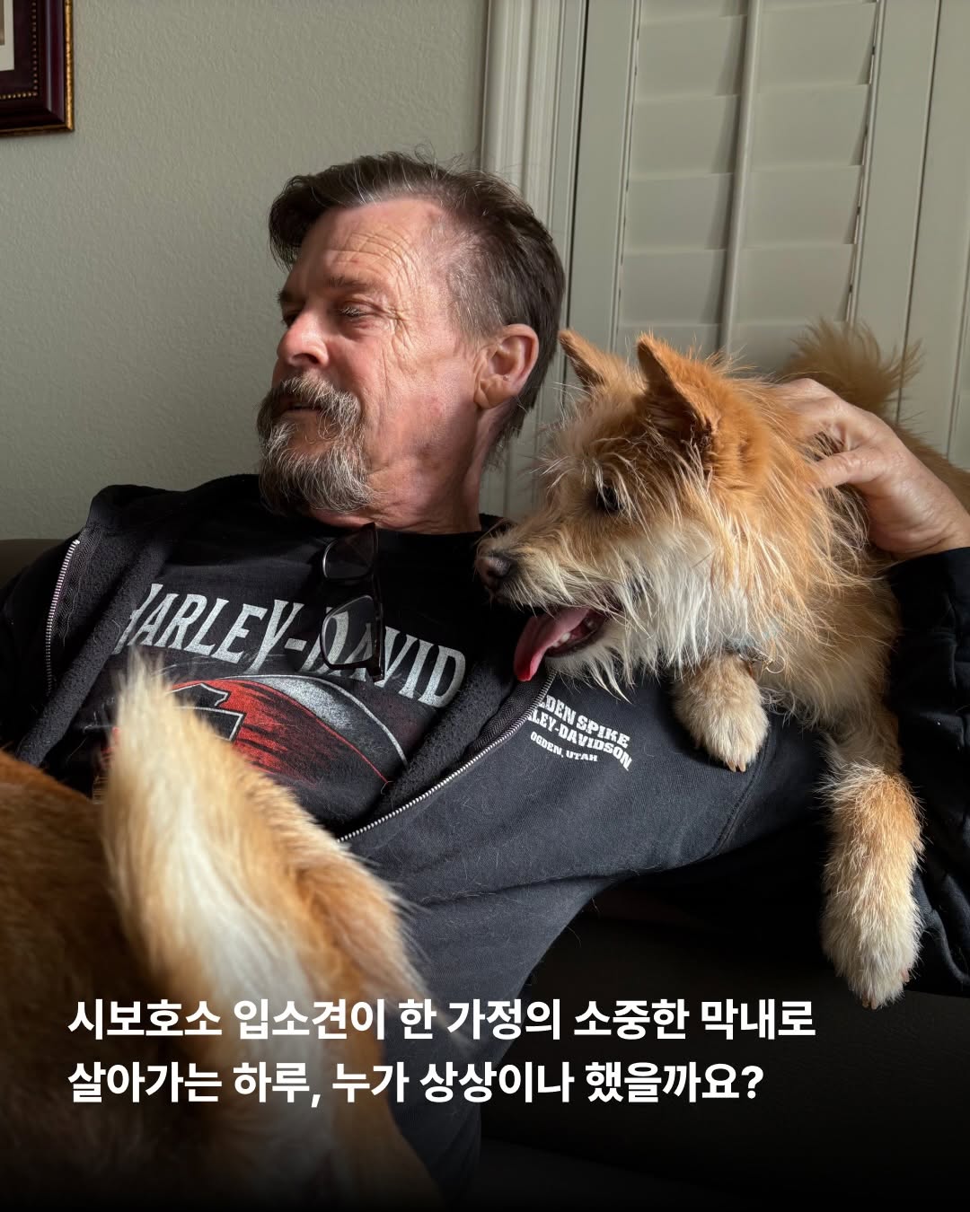 상세 사진 13