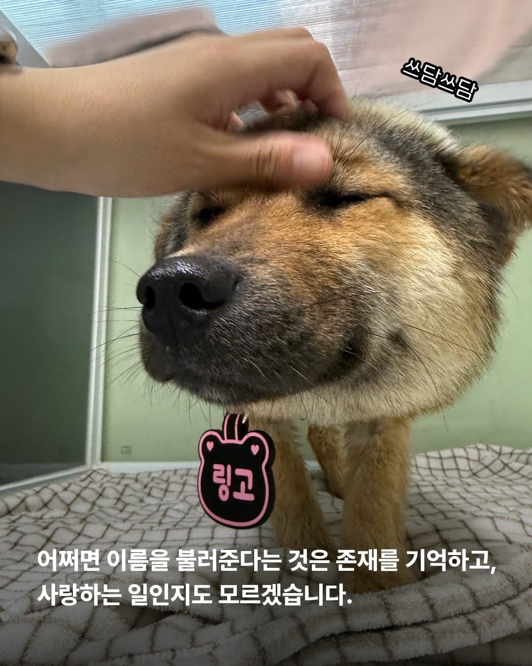 상세 사진 11