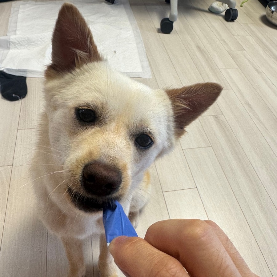 상세 사진 8