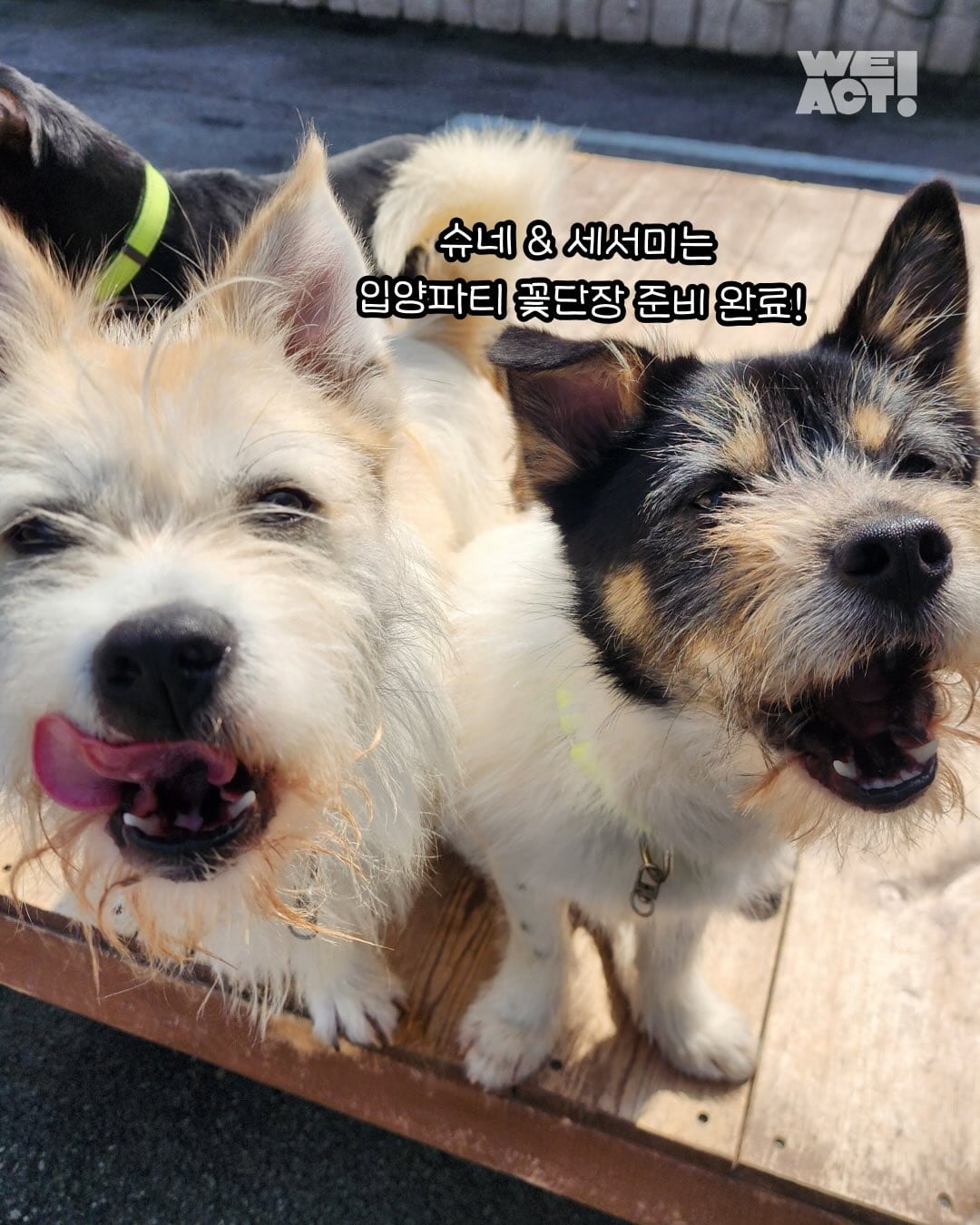 상세 사진 8