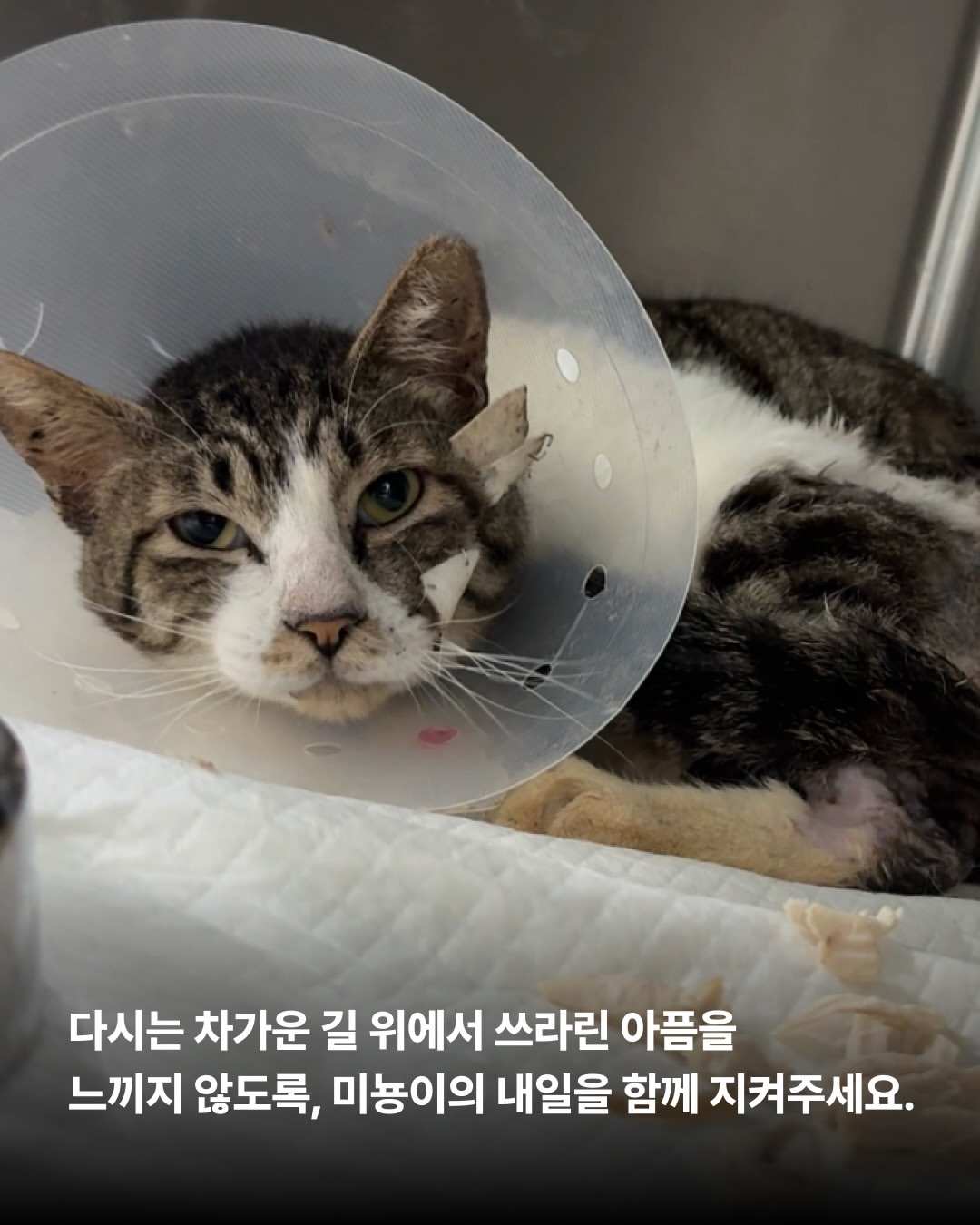 상세 사진 5
