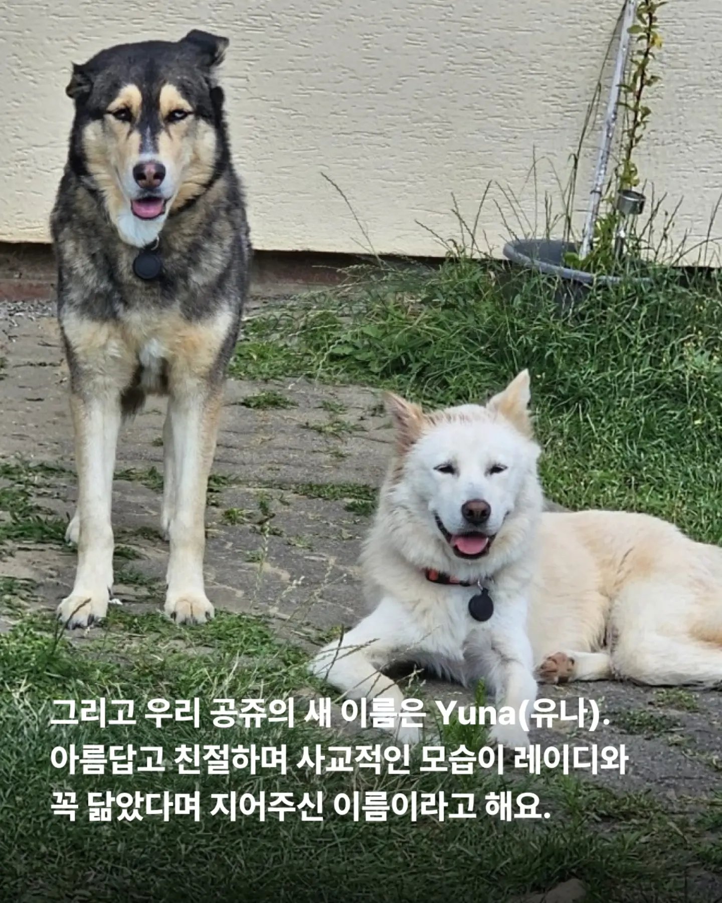 상세 사진 9