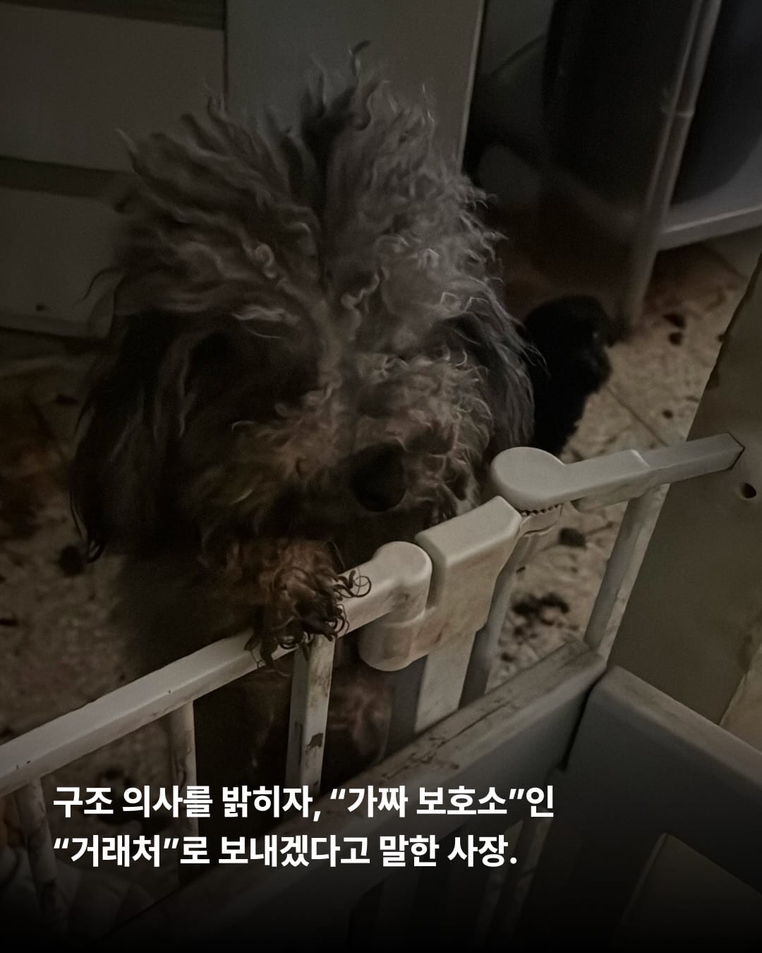 상세 사진 7