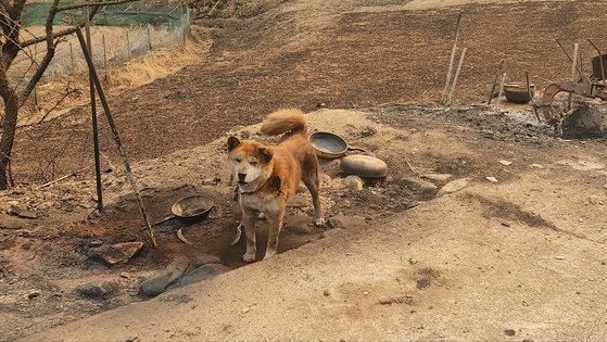상세 사진 2