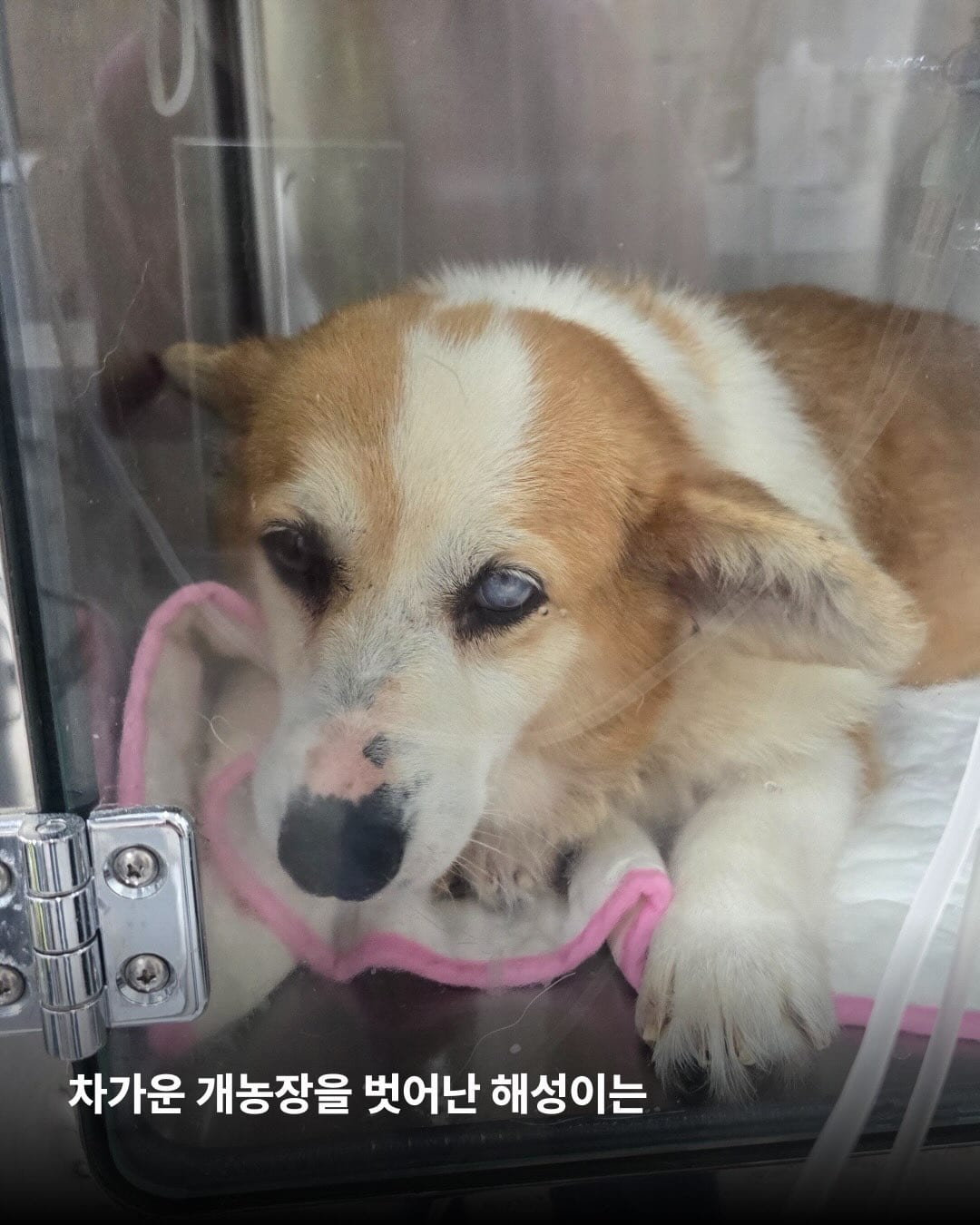 상세 사진 3