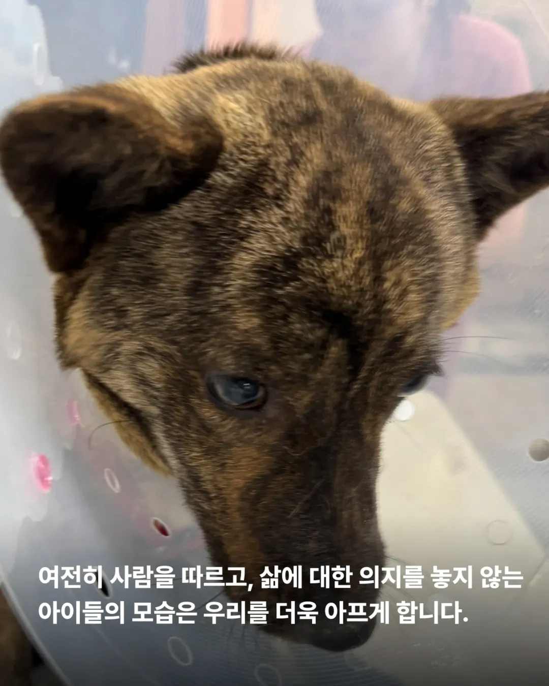 상세 사진 12