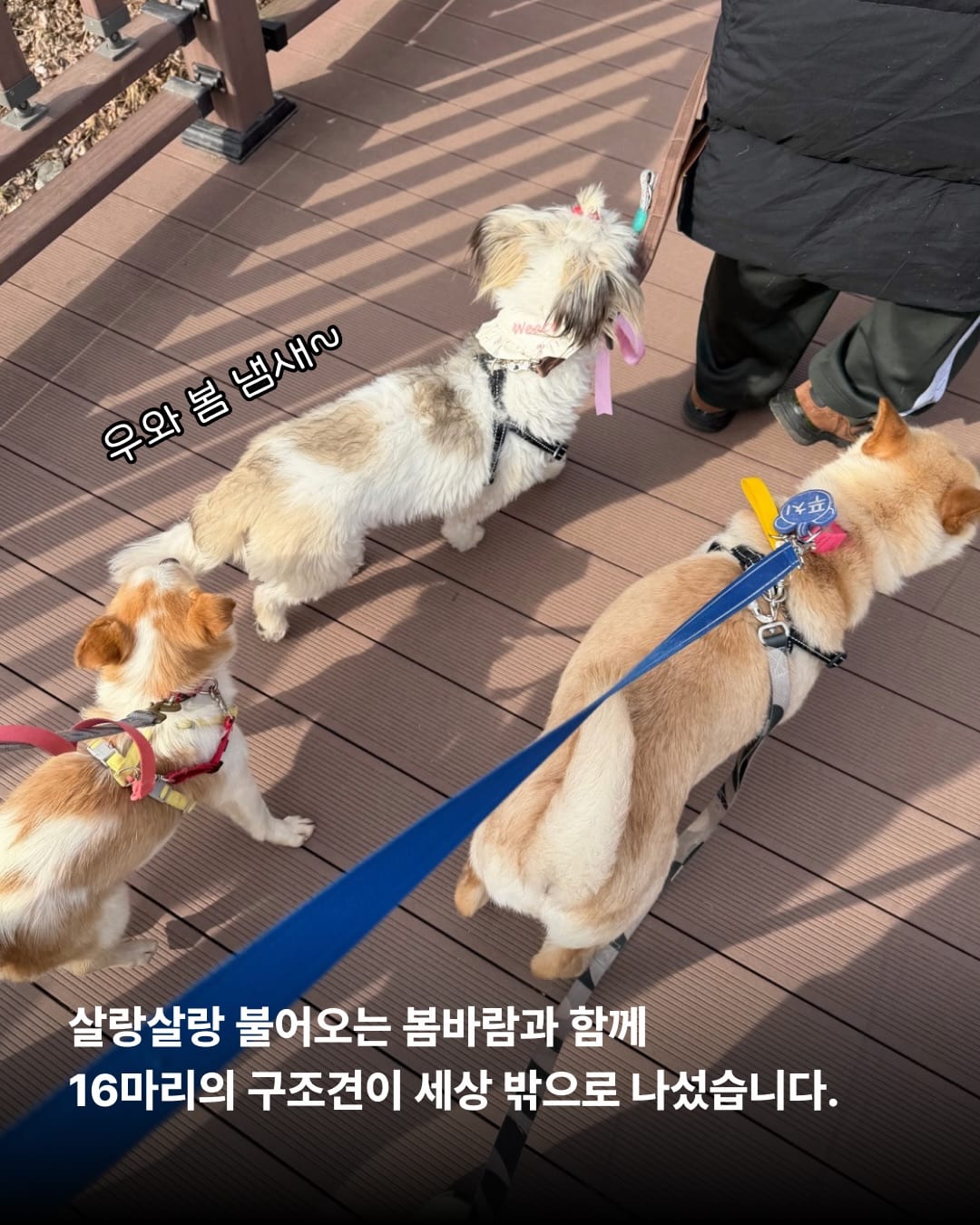 상세 사진 2