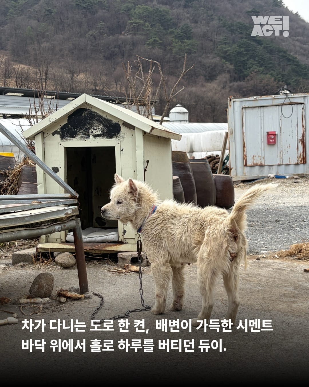 상세 사진 2