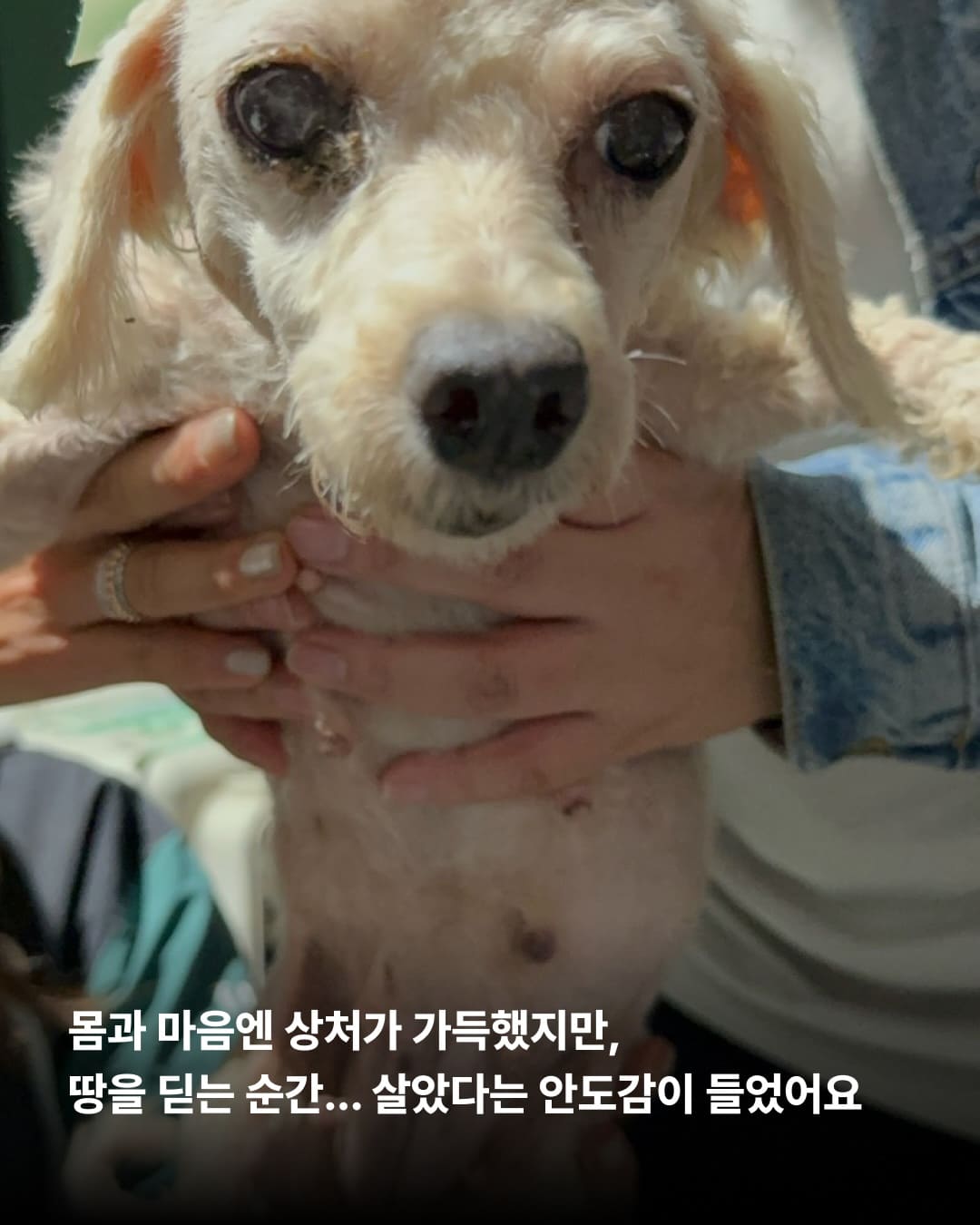 상세 사진 3