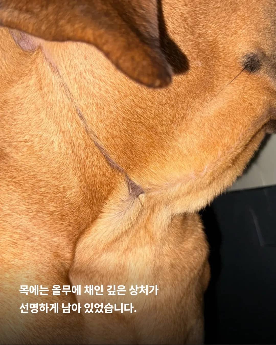 상세 사진 3
