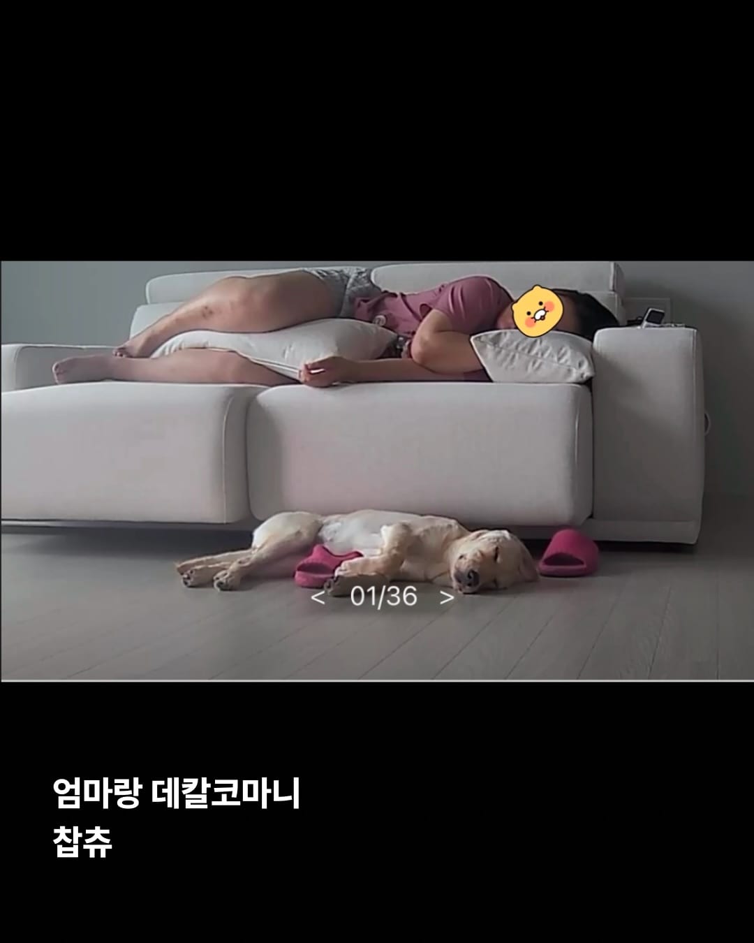 상세 사진 20