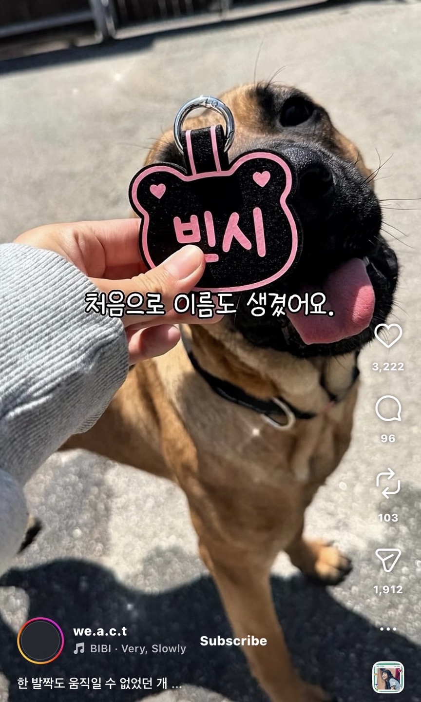 상세 사진 5