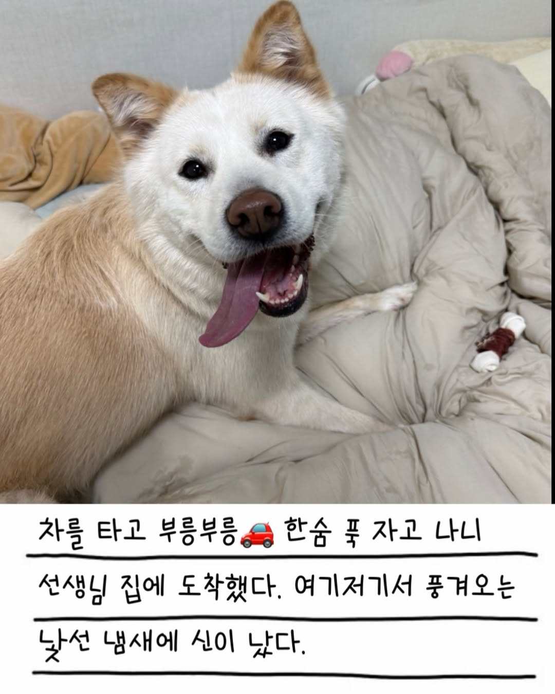 상세 사진 4