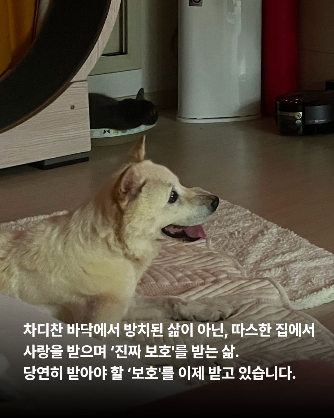 상세 사진 4