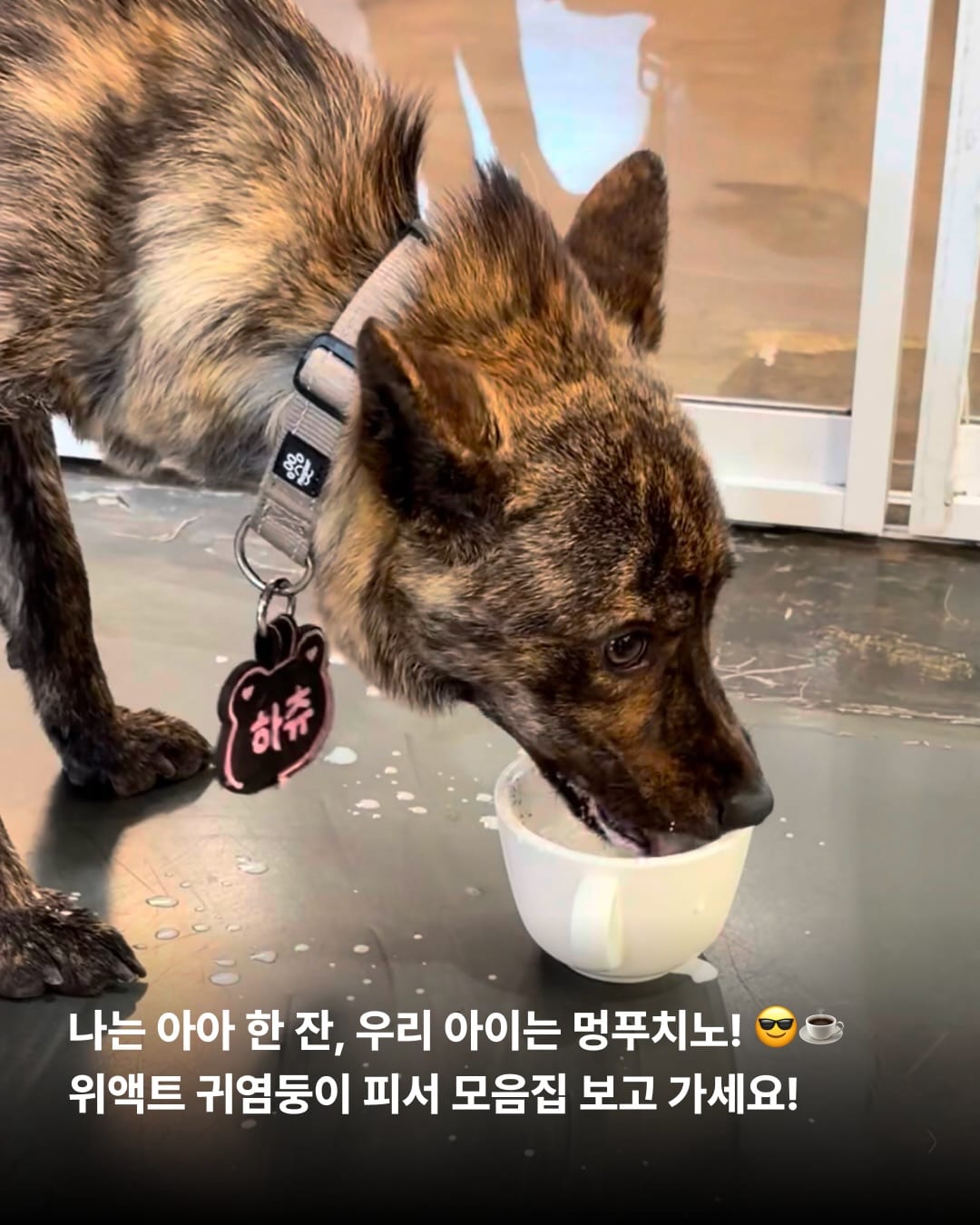 상세 사진 6