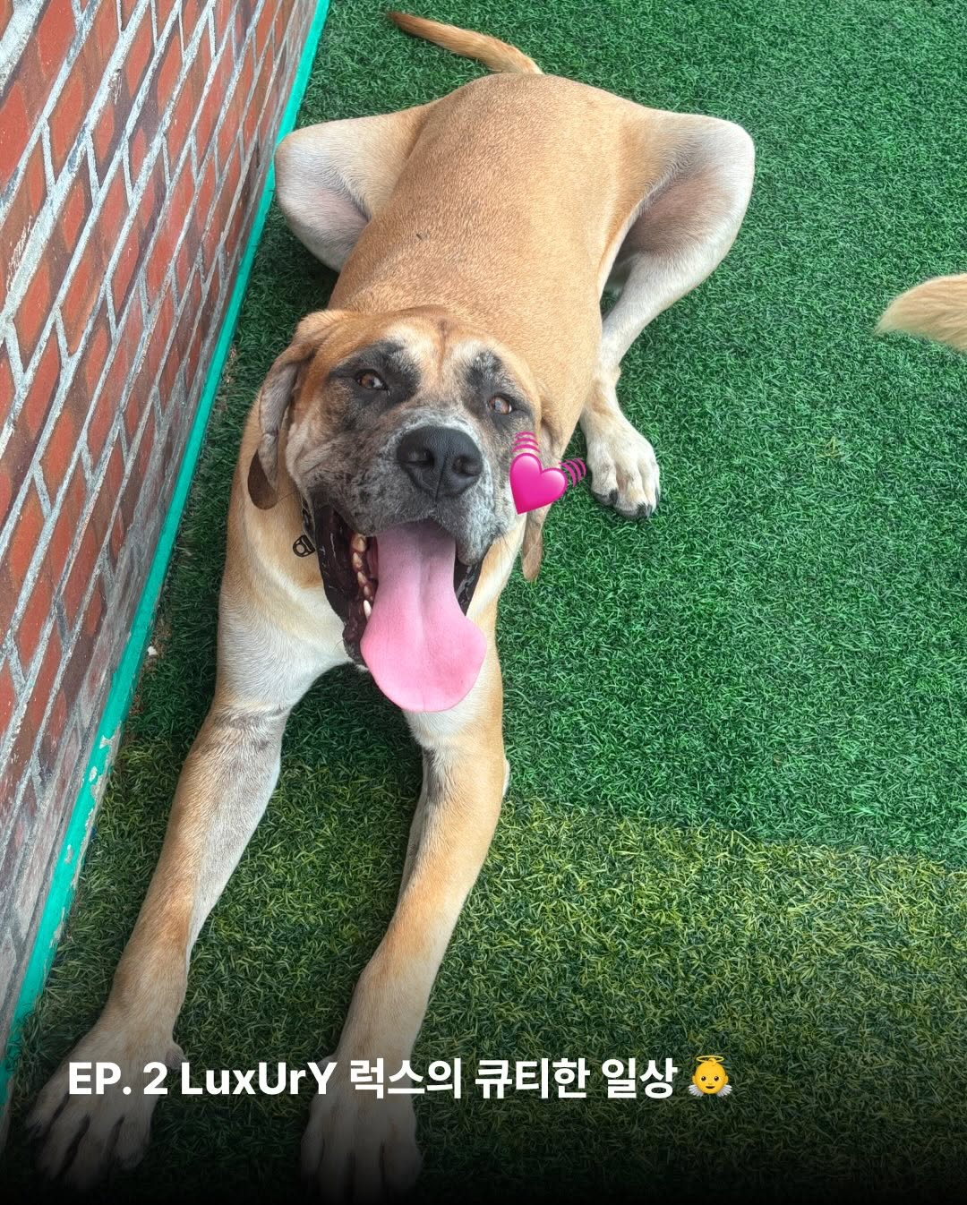 상세 사진 12