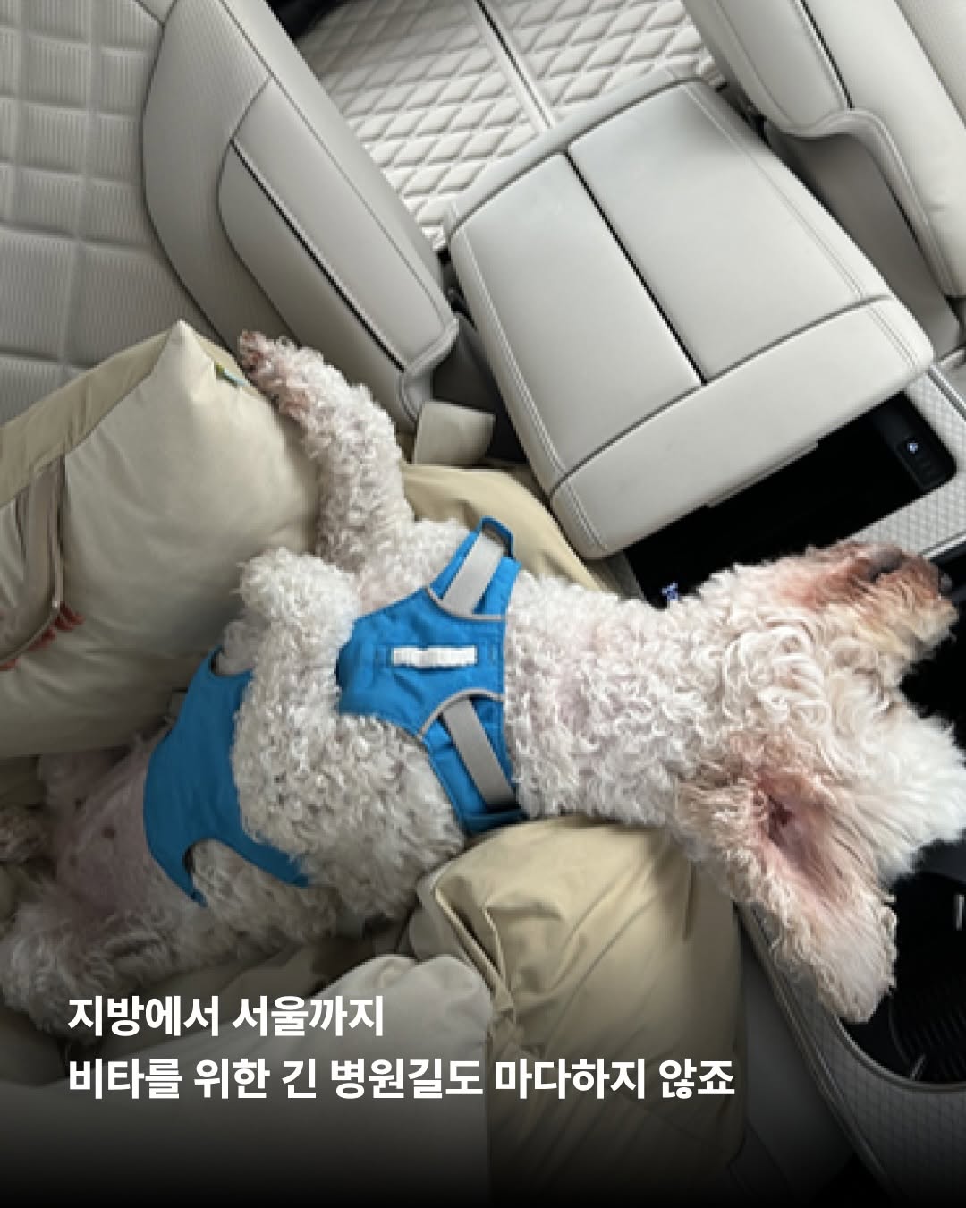 상세 사진 7