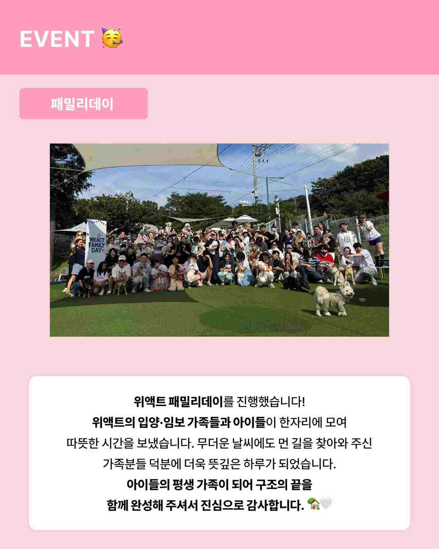 상세 사진 9