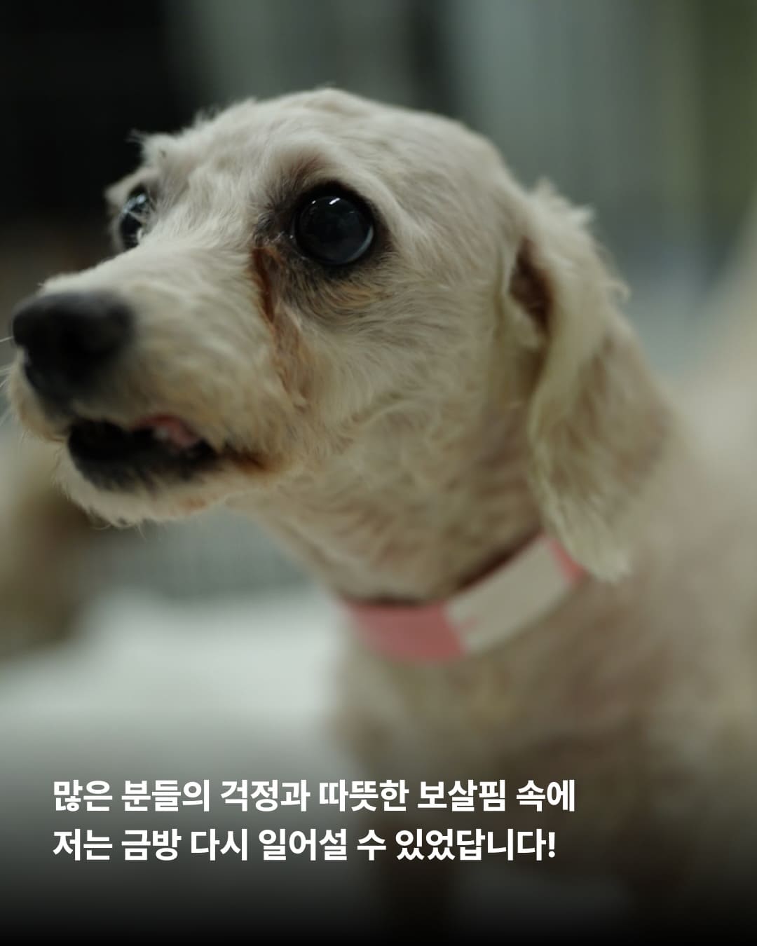 상세 사진 4