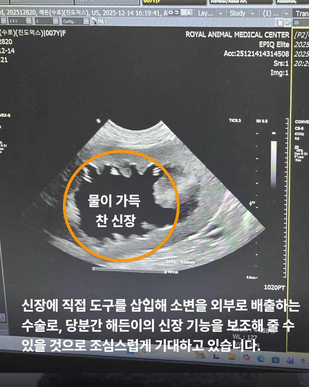 상세 사진 5