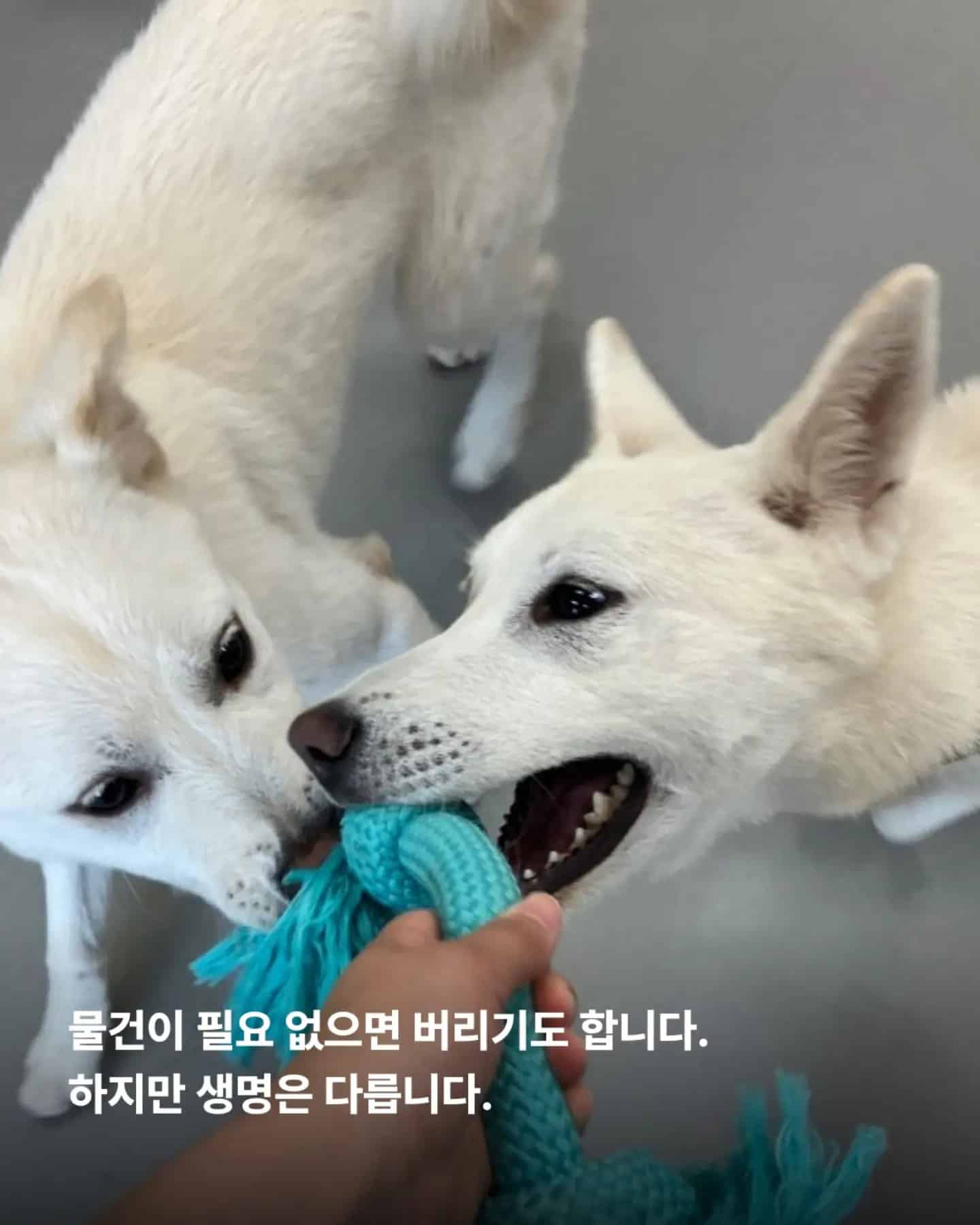 상세 사진 10
