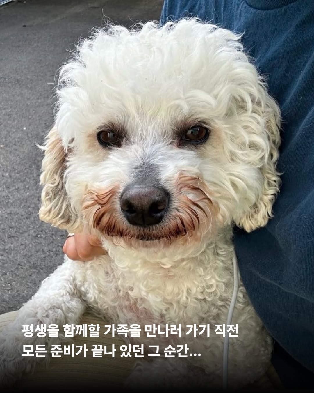 상세 사진 3