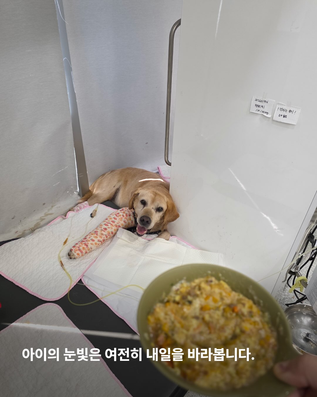 상세 사진 10