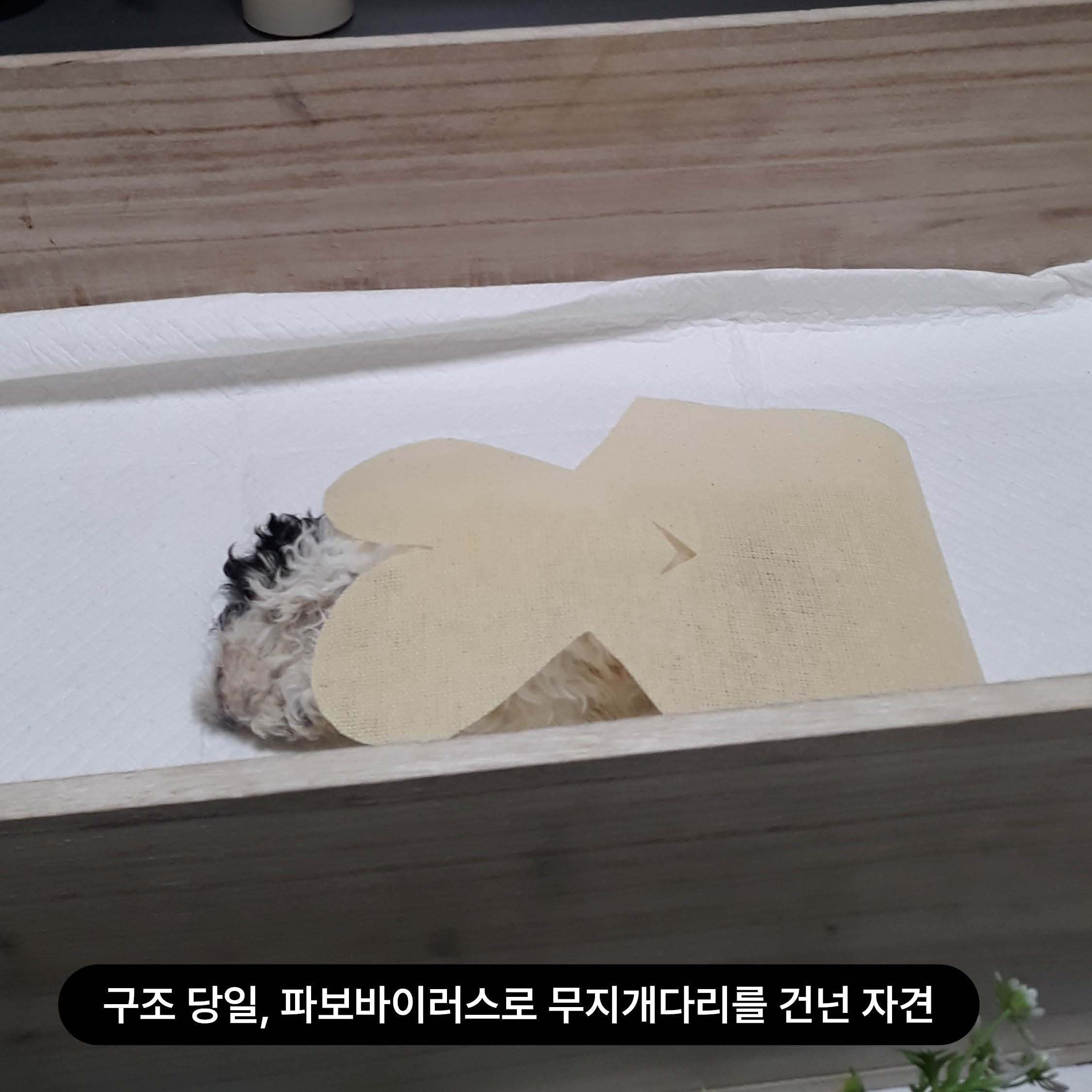 상세 사진 5
