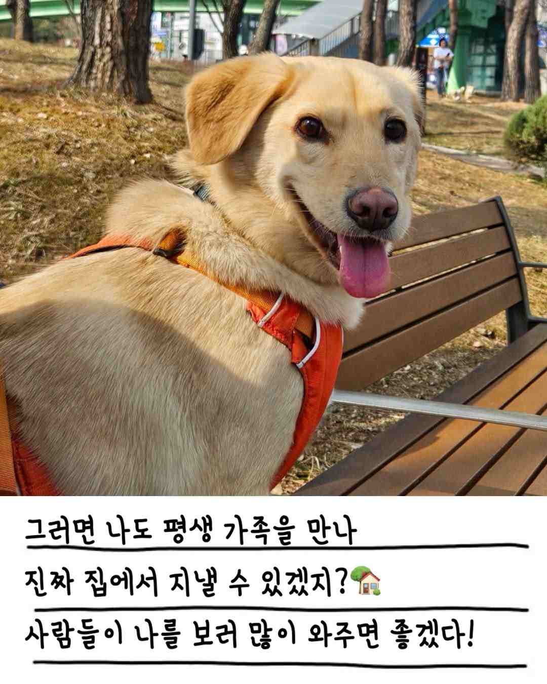 상세 사진 12