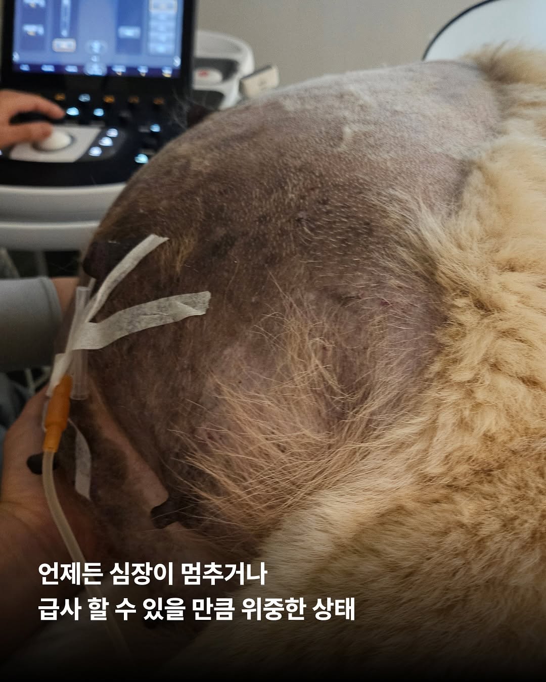 상세 사진 4