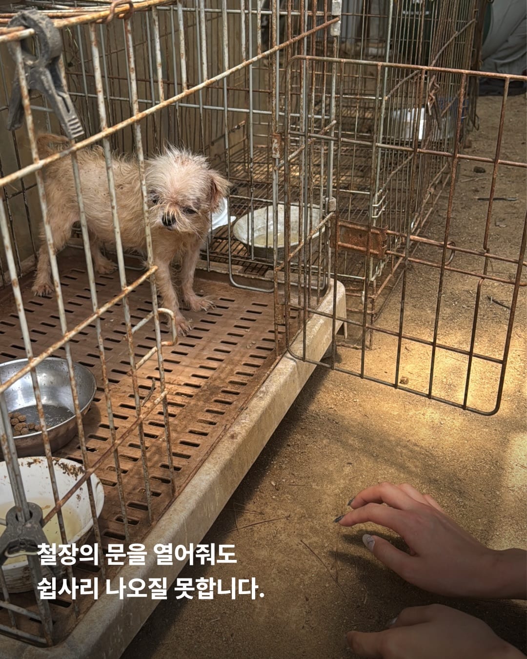 상세 사진 7