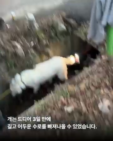 상세 사진 6