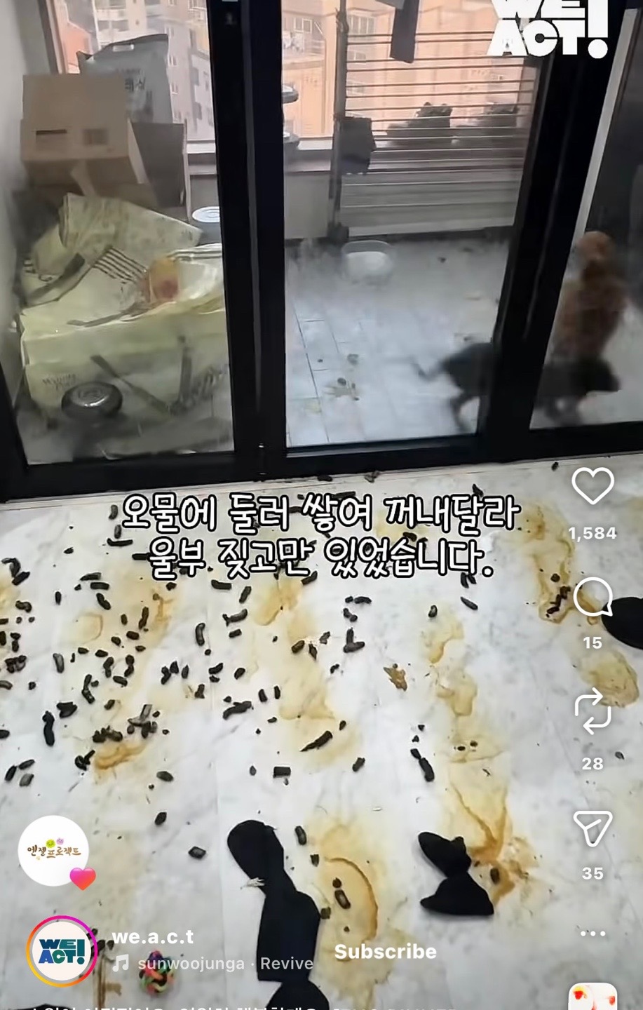 상세 사진 5