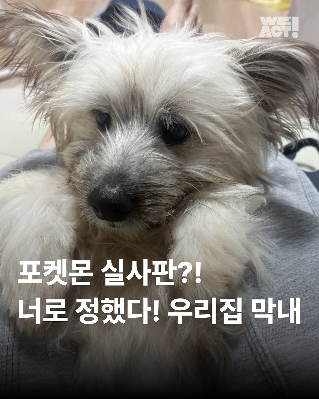 상세 사진 1