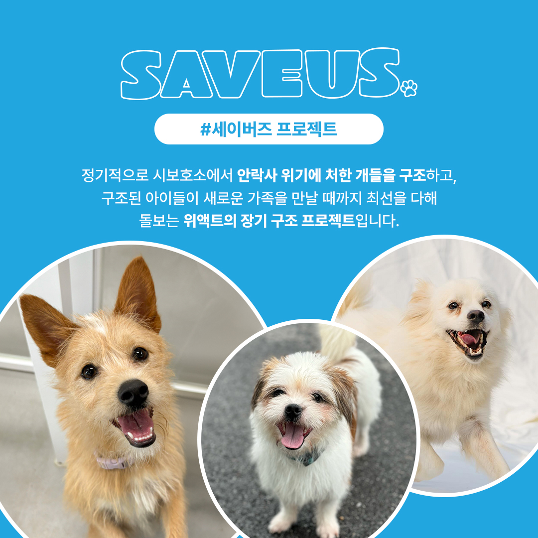 상세 사진 2
