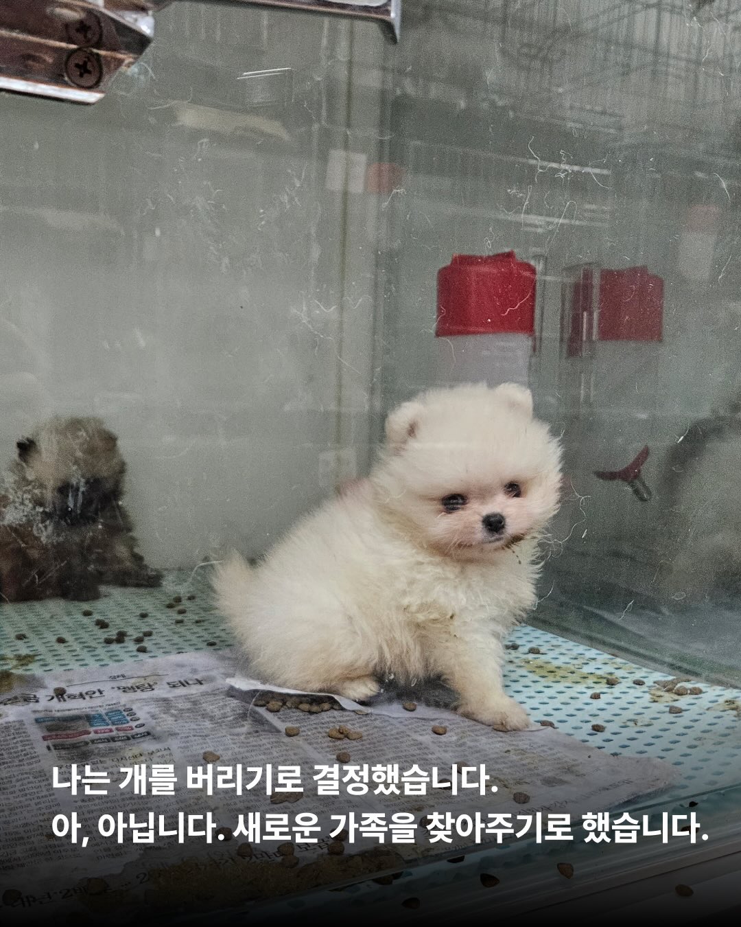 상세 사진 2