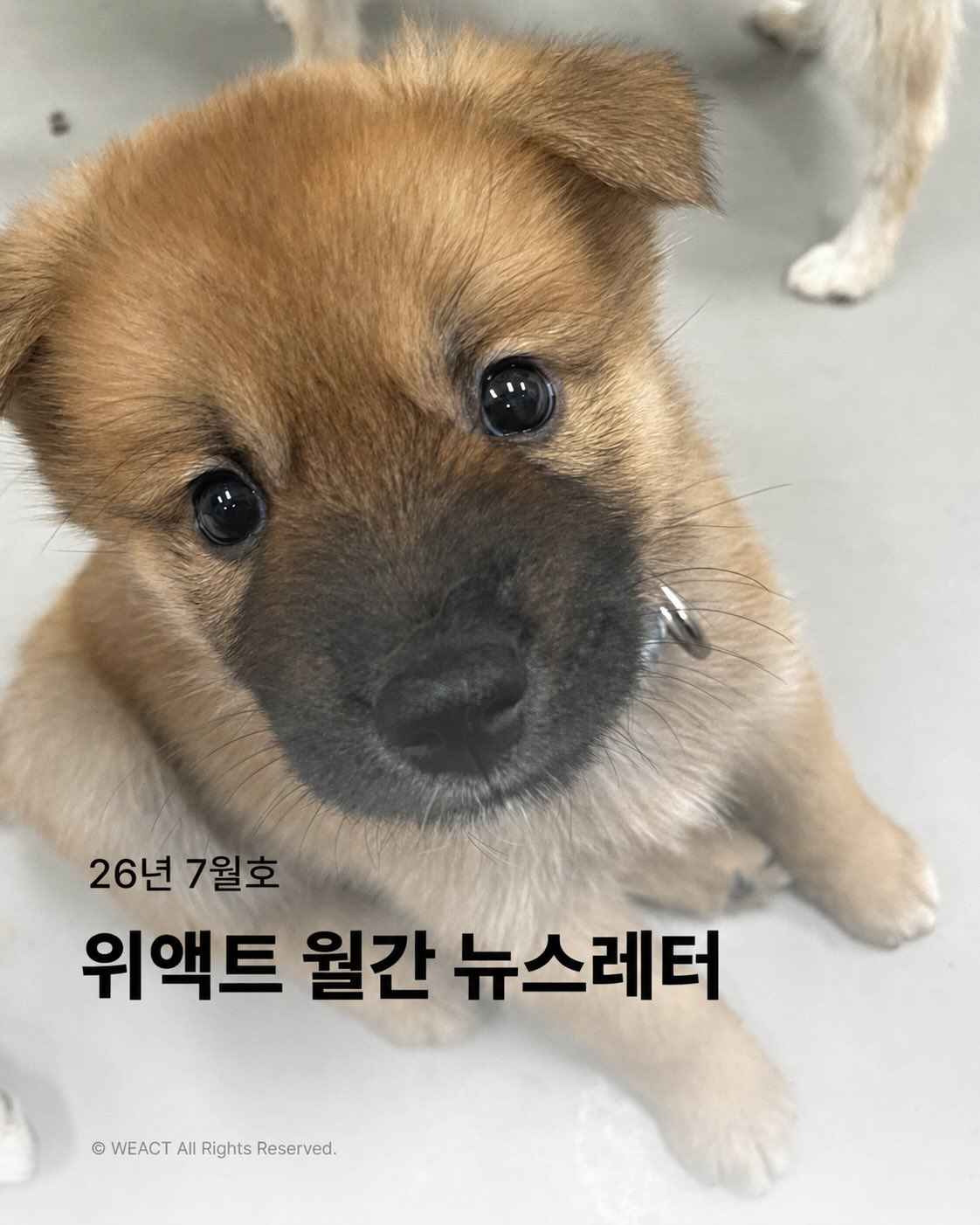 상세 사진 1